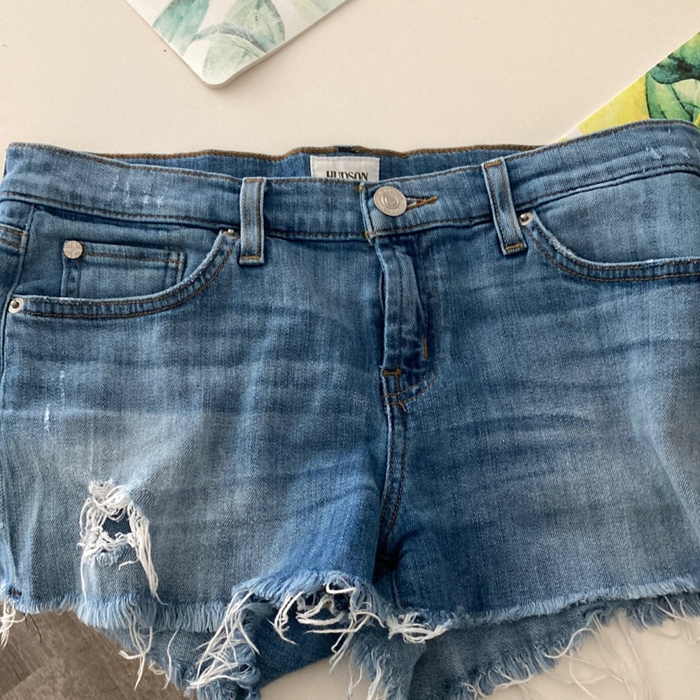 Hudson short shorts
